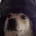 Profilbild von Sawwik