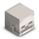 Skeleton